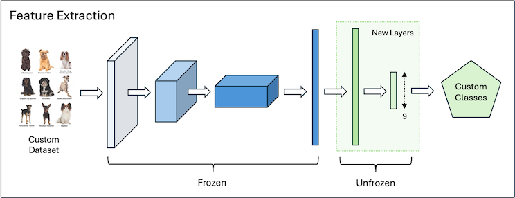 Feature Extraction